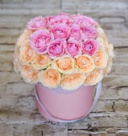 קופסת פרחים - פלמינגו