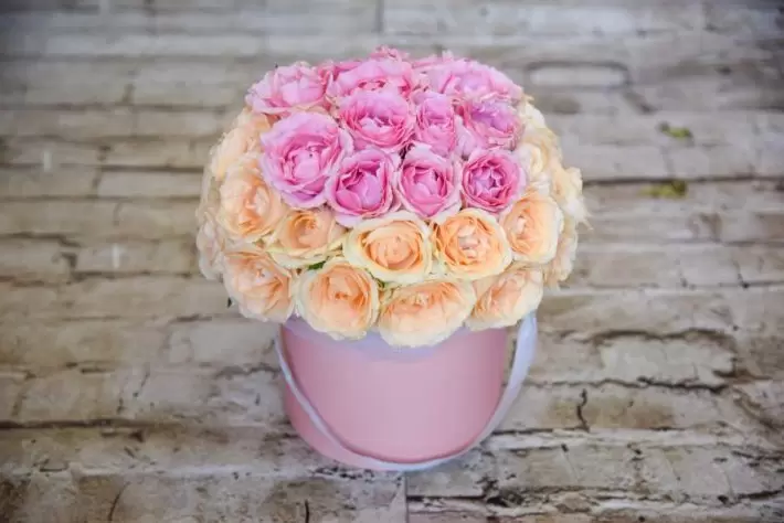 קופסת פרחים - פלמינגו