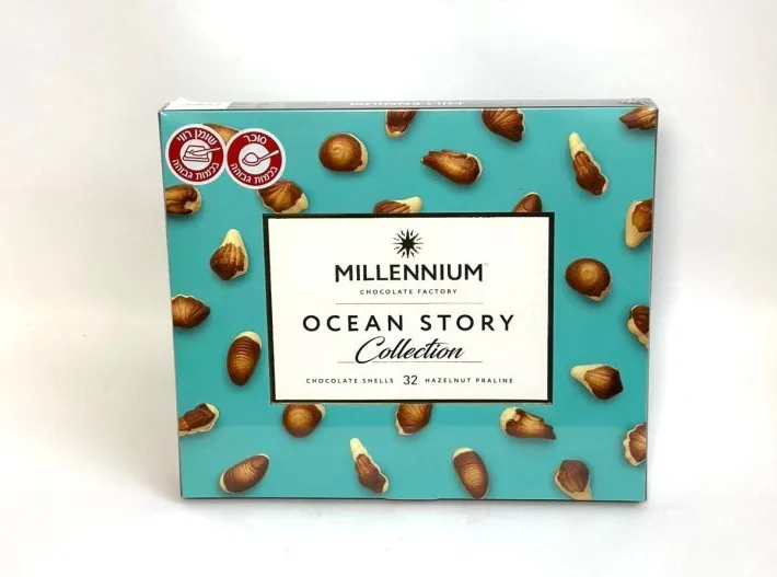 WhatsApp Image 2026-03-29 at 16.29.18