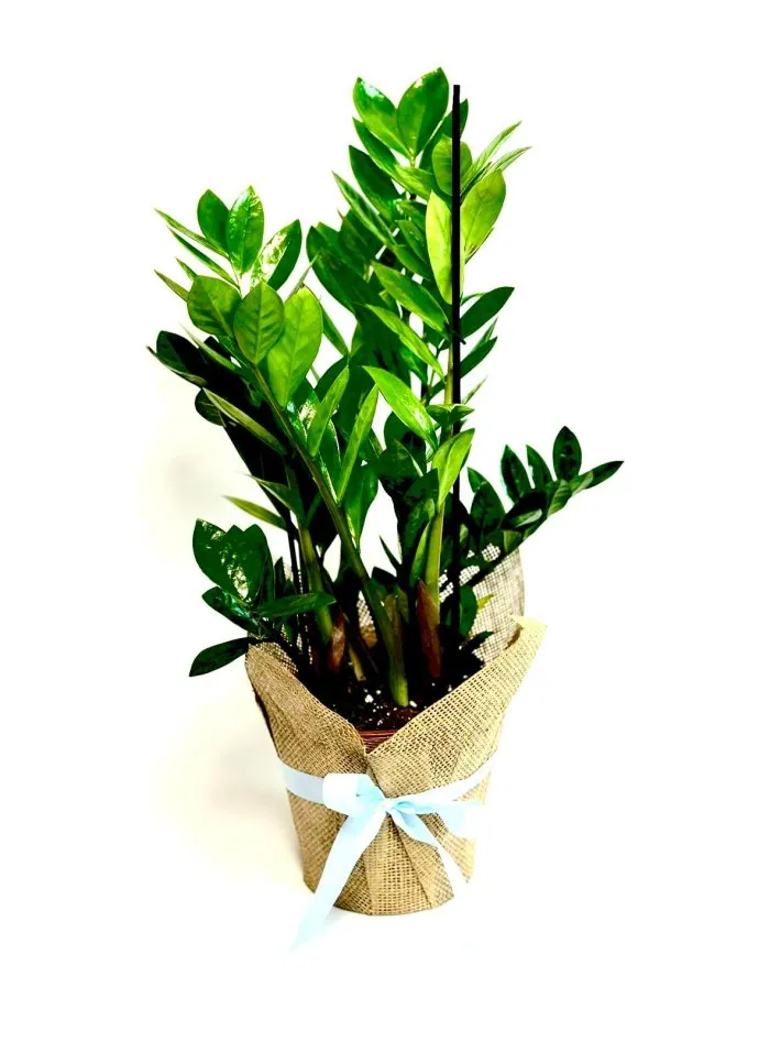 3e928f13-59ac-4ae5-a792-763976870f41