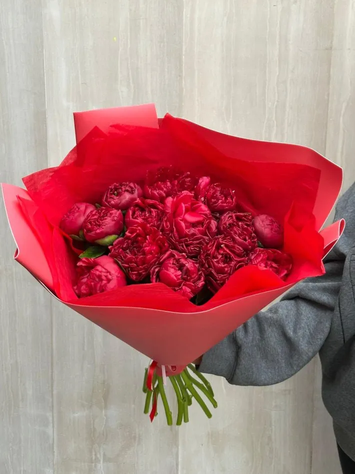 WhatsApp Image 2026-02-22 at 21.02.40