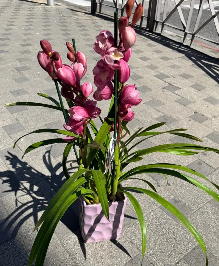 WhatsApp Image 2026-03-05 at 12.46.08