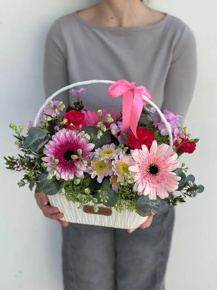 WhatsApp Image 2026-03-28 at 17.50.41