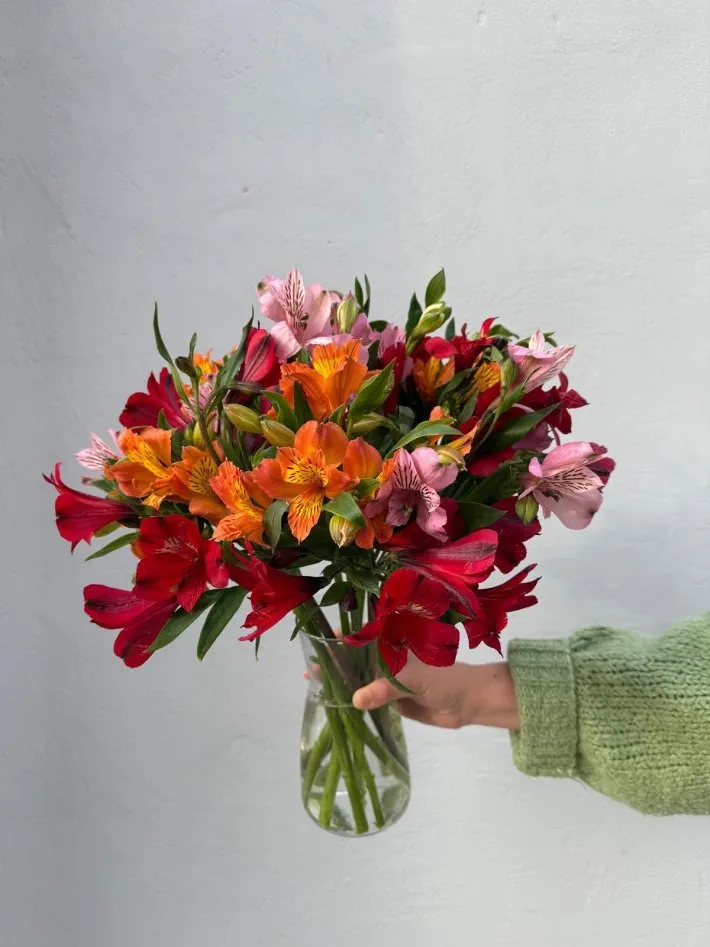 WhatsApp Image 2026-03-28 at 22.24.05