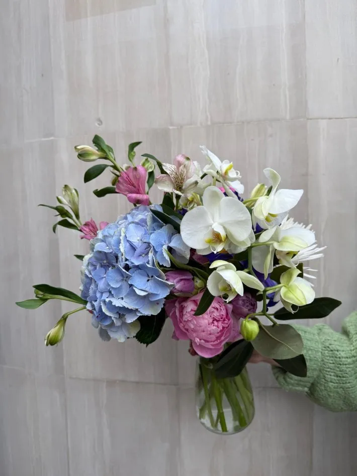 WhatsApp Image 2026-03-28 at 22.33.43