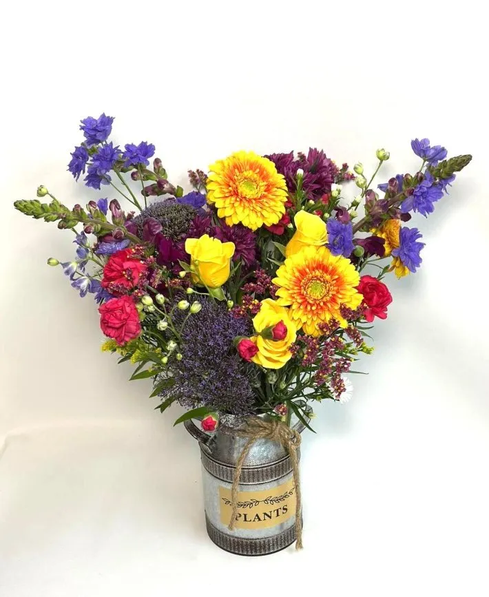 WhatsApp Image 2026-03-29 at 16.53.08