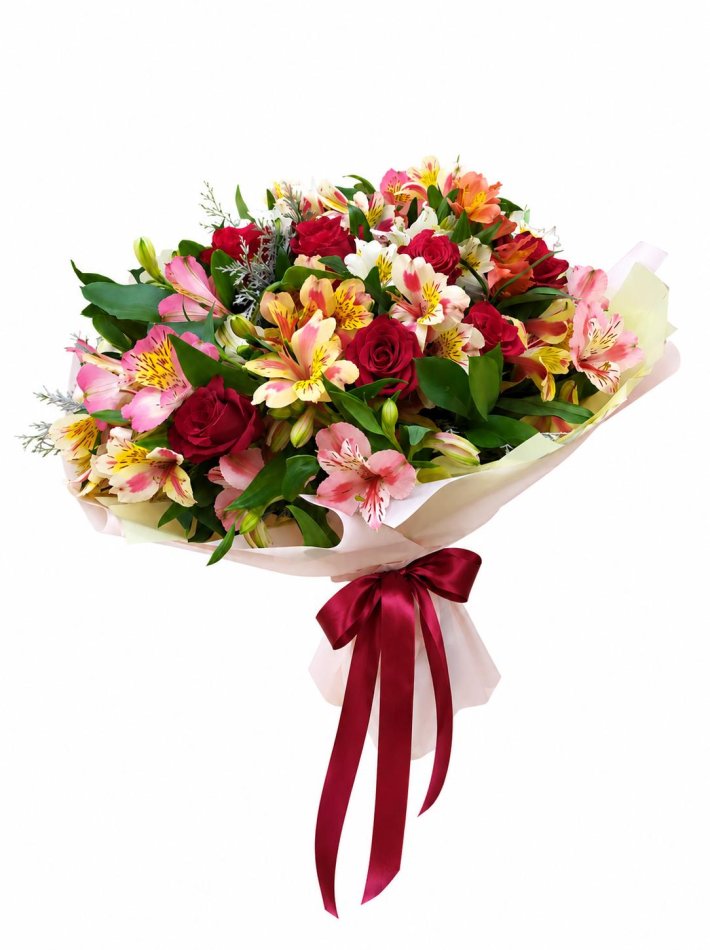 WhatsApp Image 2026-05-26 at 10.05.31