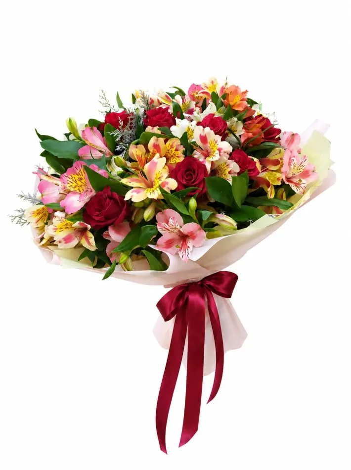 WhatsApp Image 2026-05-26 at 10.05.31